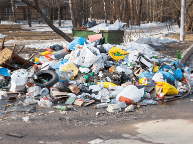 Large pile of yard waste in back yard in Wilmington Delaware